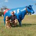 Profile Picture of Brian Saathoff (@brian.saathoff.98) on Facebook