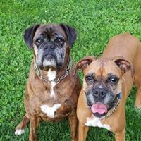 Profile Picture of Leah Ewing (@leah-ewing-3) on Quora