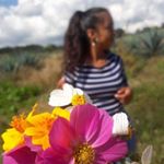 Profile Picture of Dayana Marlene.❤️ (@dayana_marlene02) on Instagram