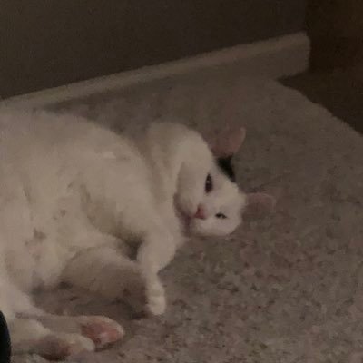 Profile Picture of Jay Swafford (@SwaffordJay) on Twitter