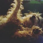 Profile Picture of John Hudgins Bates (@planestoopid) on Instagram