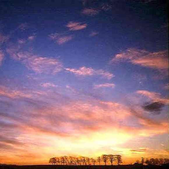 Profile Picture of Susannah Jones-hochmuth (@zannaliz) on Poshmark