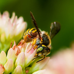 Matthew Delligatti - Flickr Profile Picture of Matthew Delligatti (@matthewdelligatti92) on Flickr