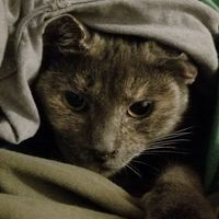 Profile Picture of Lance Maynard (@lance-maynard-4) on Quora