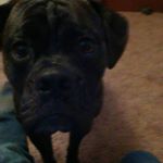 Profile Picture of Calvin Akers (@calvin_akers) on Instagram