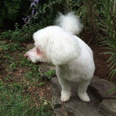 Pamela Bearce-Lopez - Twitter Profile Picture of Pamela Bearce-Lopez (@BearceLopez) on Twitter