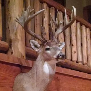 Profile Picture of Tony Frisbie (@tonyfrisbie) on Instagram