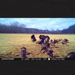 Profile Picture of Jeremy Basford (@jeremy.basford.7) on Facebook