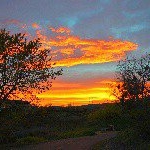 Profile Picture of © Bill Cain Photography (@billcain) on Instagram