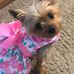 Profile Picture of Joann Banet (@joann.banet.7) on Facebook