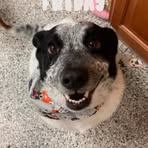 Profile Picture of Megan Duprey (@Megan-Duprey) on Facebook