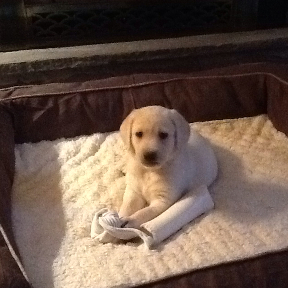 Profile Picture of Carolyn Malenda (@malenda1) on Poshmark