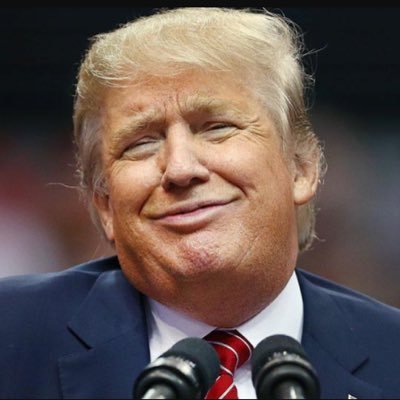 Profile Picture of Doodad Mctrungle (@IsaacFinkCHA) on Twitter