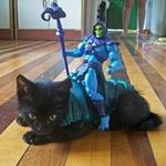 Profile Picture of jason Bowersock (@drbalsak) on Instagram