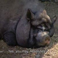 Profile Picture of Emily Wilde (@emily-wilde-5) on Quora