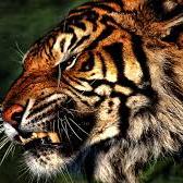 Profile Picture of Jeremy Mckinstry (@46dfc3c88c934fe) on Twitter