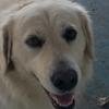 Profile Picture of Blaine Schlinker (@@kathyschlinker) on Tiktok