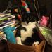 Profile Picture of Kim Jacoby (Kitty Kat Kloset) (@kim.jacoby13) on Facebook