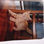 Profile Picture of roberta.cheni (@roberta.cheni) on Instagram