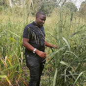 Profile Picture of NATWIJUKA BRIAN FARMER (@natwijukabrian) on Youtube