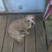 Profile Picture of Dixie Neely (@dixie.neely.5) on Facebook