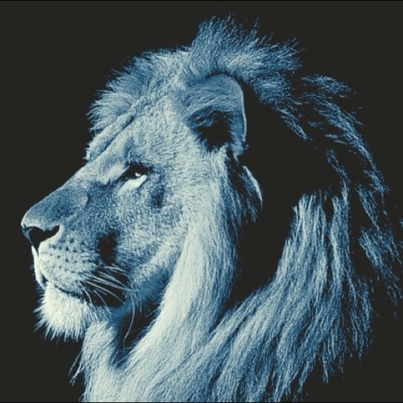 Profile Picture of Dexter David (@dexterdavid3) on Poshmark