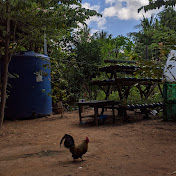 Profile Picture of Alice Reid (@alicereid234) on Youtube