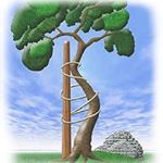 Profile Picture of Dr. Wilmer Guzmán (@dr.wilmerguzman) on Instagram