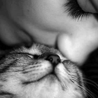 Profile Picture of Alessandra Perrone (@Alessandra-Perrone) on Facebook