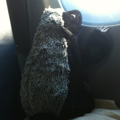 Kyle Upshaw - Twitter Profile Picture of Kyle Upshaw (@HoneyBadgerCDR) on Twitter