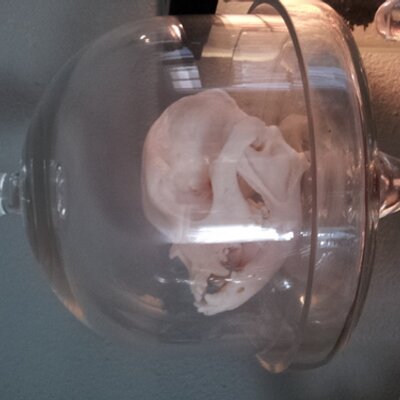 Profile Picture of Jillian Slorach (@killerjill1983) on Twitter