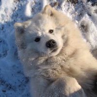 Profile Picture of Kevin Eaves (@kevin-eaves-14) on Quora