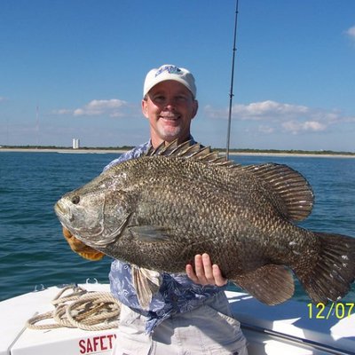 Profile Picture of Mark E. Moffitt DMD (@MoffittDmd) on Twitter