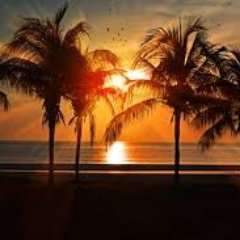 Profile Picture of Xavier Boyce (@Xavier_Boyce_) on Twitter