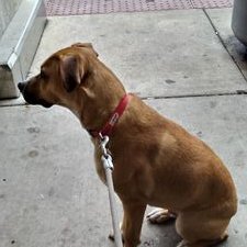 James Perino - Twitter Profile Picture of James Perino (@JamesPerino2) on Twitter