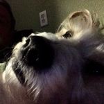 Profile Picture of Denny Caine (@cainedenny) on Instagram