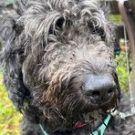 Profile Picture of Paul Schissler (@paul.schissler.503) on Facebook