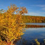 Profile Picture of Saxbys (@saxbysgarywoodd) on Instagram