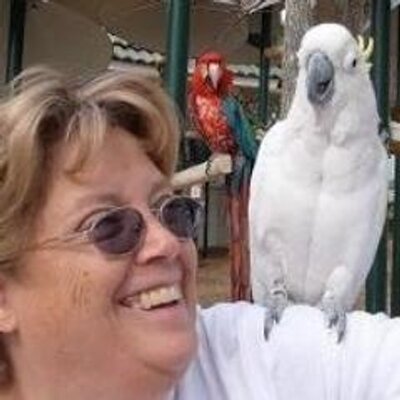Profile Picture of Deborah Shoop (@Tudorgirl60) on Twitter