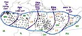 Profile Picture of Late-May 1998 tornado outbreak and derechoon Wikipedia