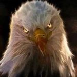 Profile Picture of Mike Guest (@mike.guest.311) on Instagram