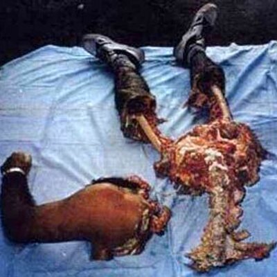 Profile Picture of Adam Dirks (@@motherlicka) on Twitter