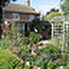 Profile Picture of David Rowell (@ElmCottageGarden) on Flickr