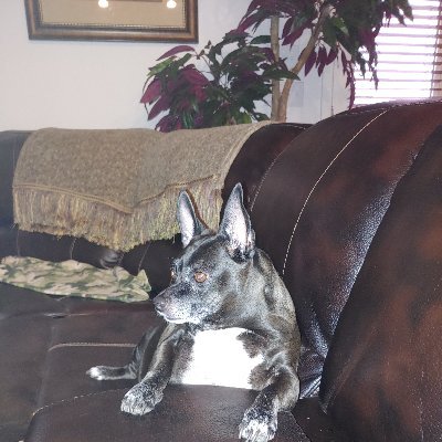 Profile Picture of Randy Booth (@RandyBo15774452) on Twitter