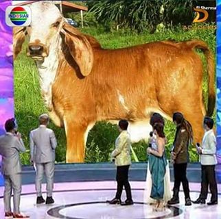 Gorge David - Facebook Profile Picture of Gorge David (@gorge.david.566) on Facebook