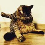 Profile Picture of Tim Alexander Holtz (@tim.h0ltz) on Instagram
