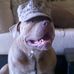 Profile Picture of William Schack (@william.schack.3) on Facebook