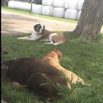 Profile Picture of Jacob Fordham (@jacob_fordham06) on Instagram