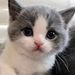 Profile Picture of Caitlin Schulte (@caitlinjschulte0114) on Pinterest