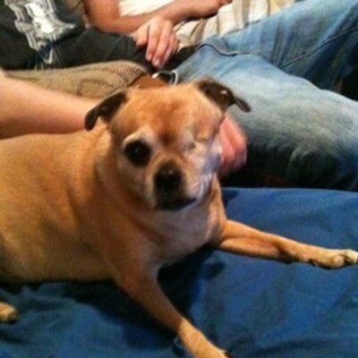 Profile Picture of Michael Schaber (@BabySchabes) on Twitter